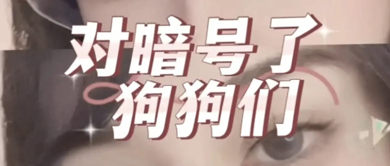 西檬之家-大圈是什么意思？字母圈新人权威入圈指南
