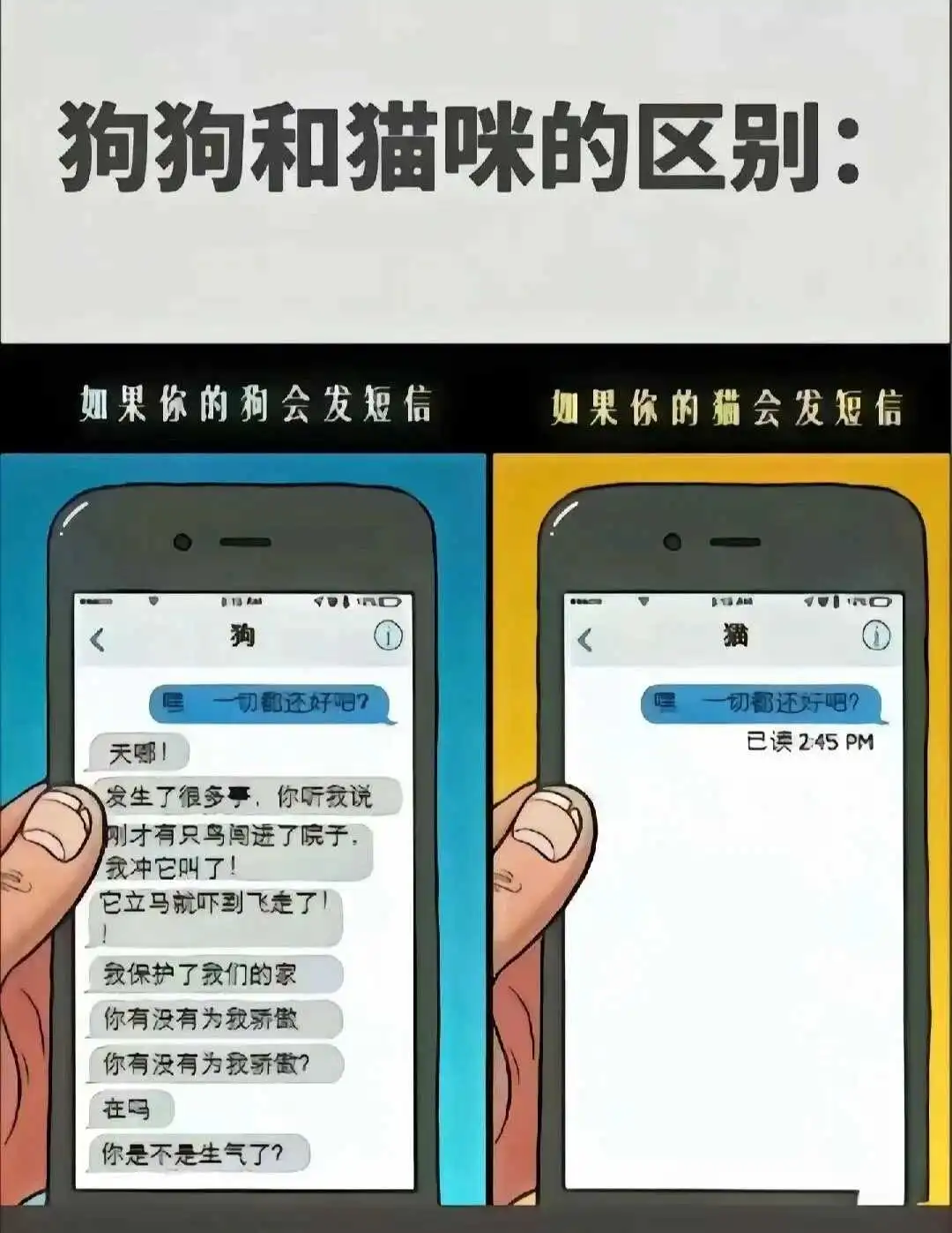 西檬之家-小圈与大圈的区别及新人入门指南