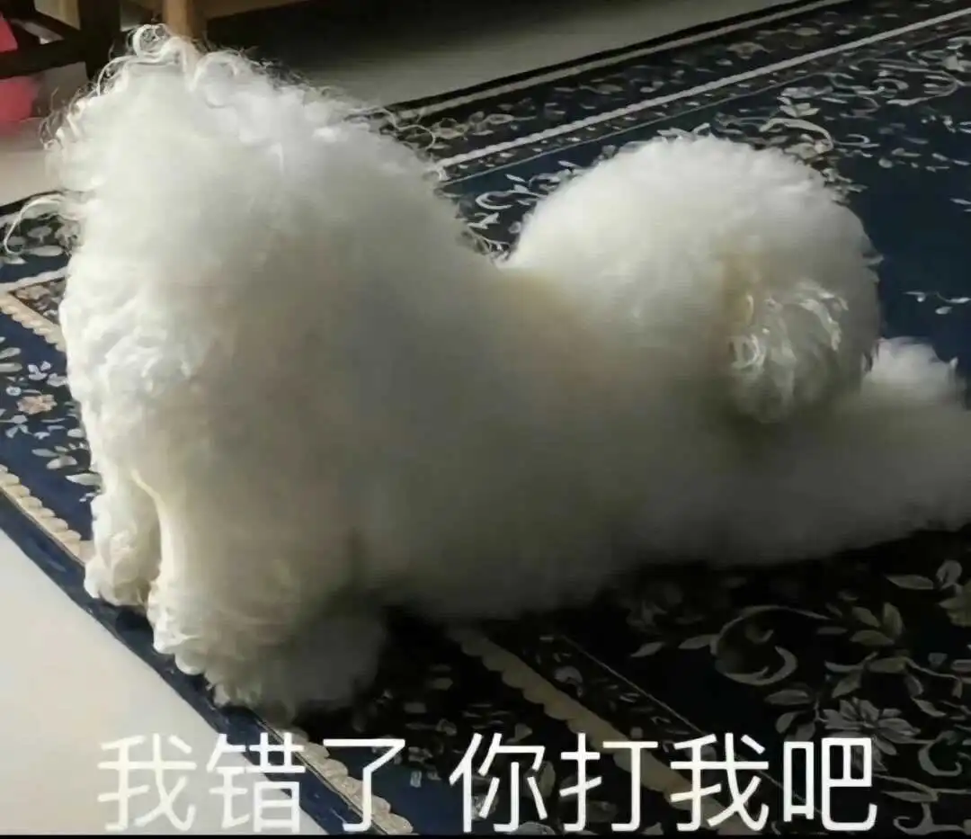 西檬之家-斯慕圈新人入门指南：从基础术语到安全实践
