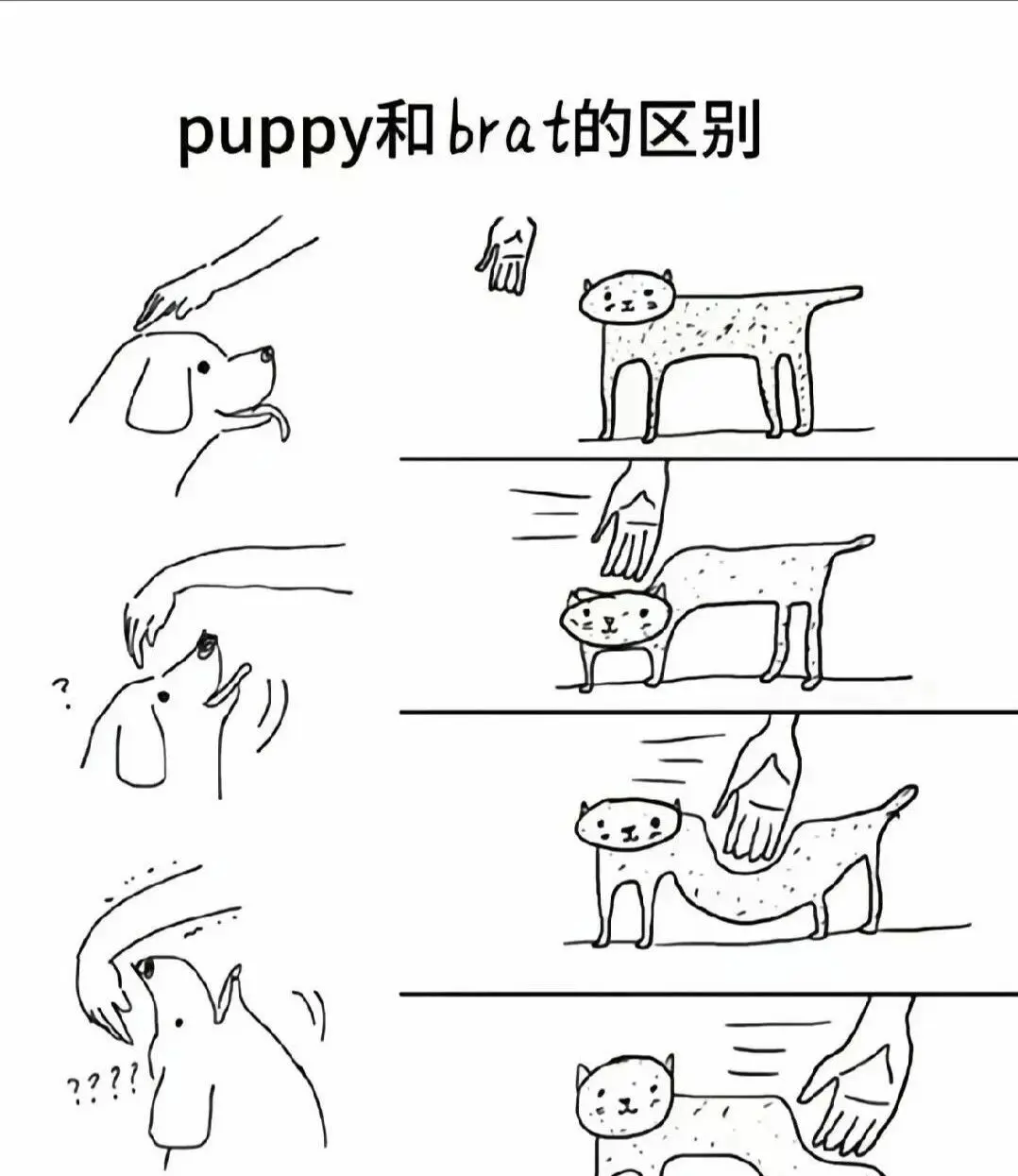 【西檬之家】BDSM新人指南：理解字母圈核心概念与安全实践