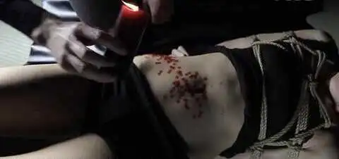 西檬之家-字母圈新人如何入圈？一个基于SSC原则的BDSM指南