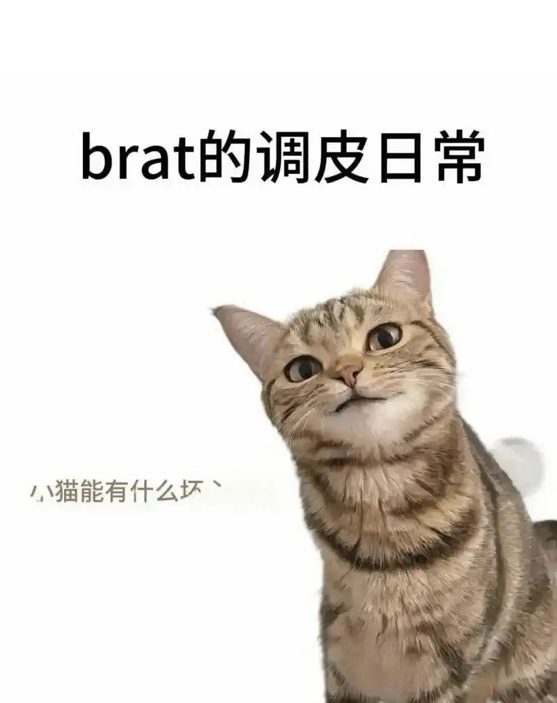 西檬之家-字母圈的DS是什么？新人入圈指南