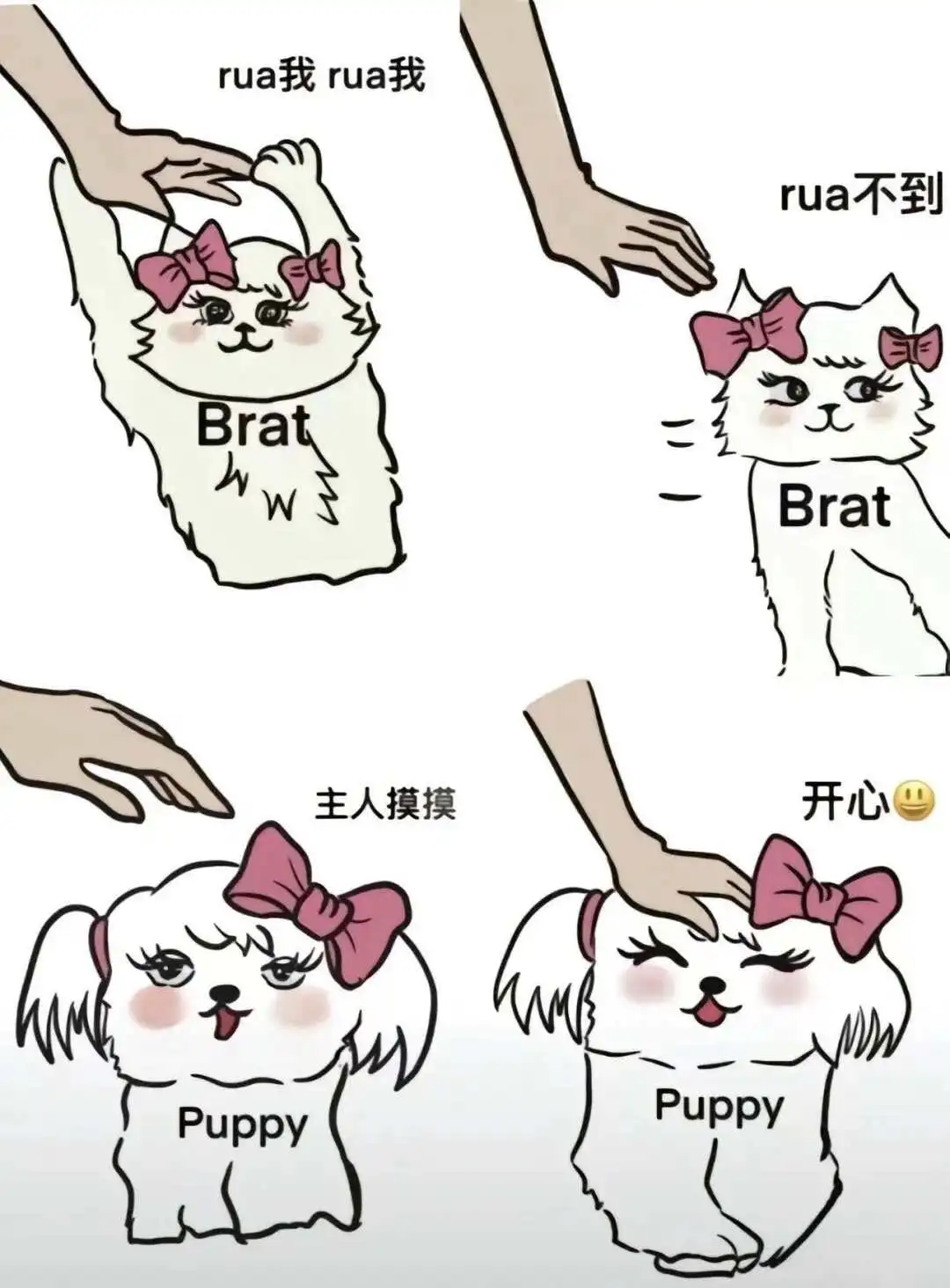 西檬之家-字母圈新人BDSM权威指南