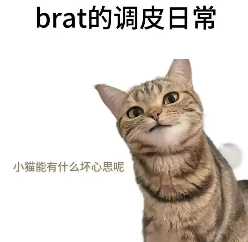 西檬之家-斯慕圈是什么？BDSM新人权威入圈指南